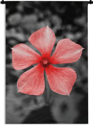 Produktbild von MuchoWow® Wandteppich Wandbehang Blumen - Rot - Schwarz - Weiß 60x90 cm Tapisserie Dekoration Wandtuch - Foto-Teppich - Abwaschbar