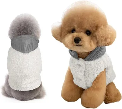 Pullover für kleine Hunde - warme Jacke - Hundebekleidung