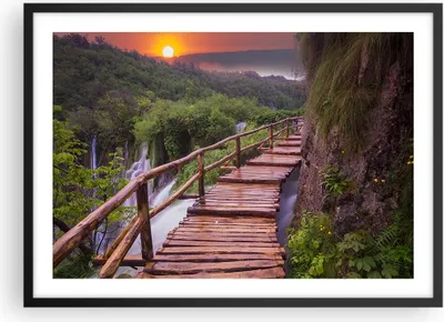 Produktbild von Gerahmtes Poster - Schwarzer Rahmen - Park Natur Wasser - 70x50 cm - Wand Bild - Wanddeko - Wandbilder - Kunstposter - Wandposter - Bilderrahmen - Bilder - Kunstdruck - Wandbild - P2BAA70x50-3962