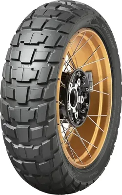 Obrázok produktu pre Pneumatiky DUNLOP TRAILMAX RAID 170/60 R 17 72T TL M+S