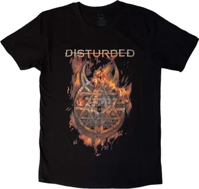 Obrázek produktu pro Disturbed Burning Belief Black L Tričko