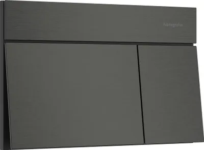 Immagine prodotto di hansgrohe iFrame élément E Plaques de déclenchement pour chasse d'eau à 2 quantités, 66003340, 66003340