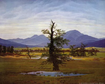 Produktbild von Caspar David Friedrich Kunstdruck Bild - Der Einsame Baum, 1822 (40 x 50 cm)