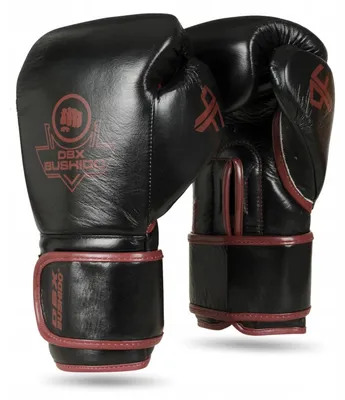 Produktbild von DBX BUSHIDO ProFighter Boxhandschuhe Leder 12 oz