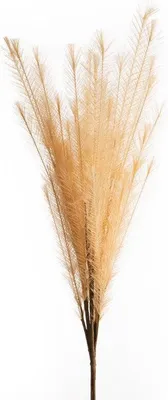 Obrázok produktu pre Flore 704 D.80 cm Tráva 47 cm Svetlohnedá