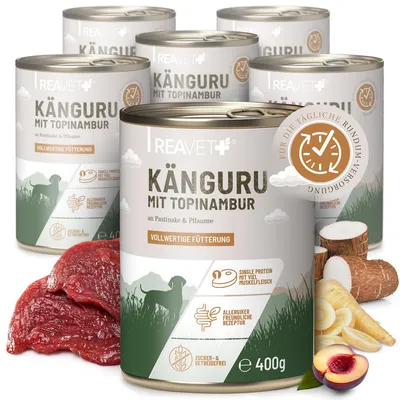Produktbild von REAVET Hundenassfutter – Känguru mit Topinambur an Pastinake & Pflaume | 6 x 400g