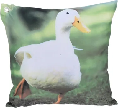 Produktbild von Gartenkissen 45 x 45 cm Außenkissen Dekokissen Outdoor Kissen Ente