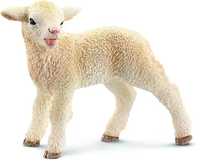 Produktbild von Schleich 13744 - Schäfchen