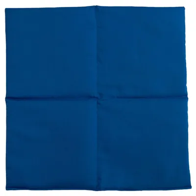 Produktbild von Bio-Bio Dinkelkissen 40x40cm 4-Kammer XXL Bio Füllung & Bio Stoff enzianblau - Wärmekissen Körnerkissen