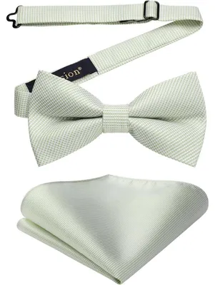 Produktbild von Herren Fliege mit Einstecktuch Set Hellgrün Vorgebunden Polyester Geschenkbox
