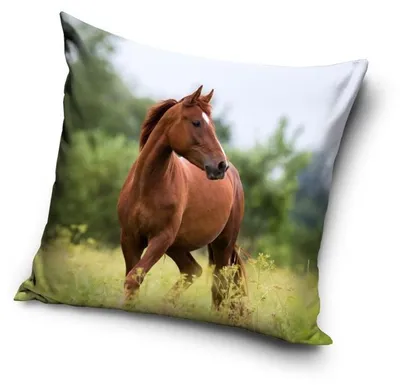 Produktbild von Pony Pferd Kissenbezug: Kissen - 40cm x 40cm
