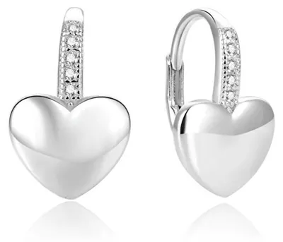 Produktbild von Heart-shaped silver earrings AGUC1775