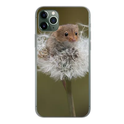 Produktbild von MuchoWow® Handyhülle Schutzhülle Hülle für iPhone 11 Pro Max Maus - Jung - Blumen Silikon Softcase Handy Hülle - Schutz