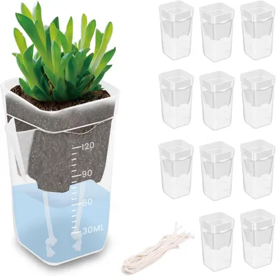 Obrázok produktu pre Samozavlažovacie kvetináče, priehľadné, 5,8 cm, 12 kusov, vhodné pre miniatúrne rastliny