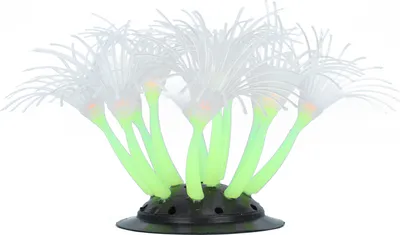 Productafbeelding van Kunstmatige zonnebloemkoraal, aquarium zonnebloemkoraal, siliconen zonnebloemkoraal, gesimuleerde zonnebloemkoraal, decoratie voor aquaria (koraal)