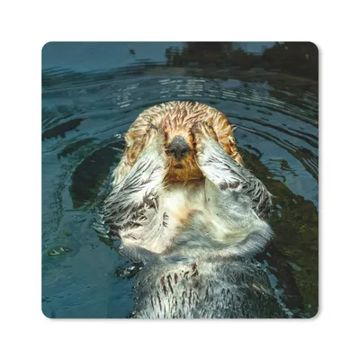 Produktbild von MuchoWow® Mauspad Mousepad Otter im Wasser 20x20 cm - Mousepads - Maus Mat - Pad - Mausunterlage - Desk Mat - Bureauartikeln