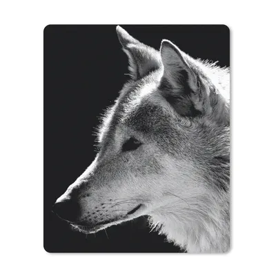 Produktbild von MuchoWow® Mauspad Mousepad Wildlife - Wolf - Schwarz - Weiß 30x40 cm - Mousepads - Maus Mat - Pad - Mausunterlage - Mausmatten