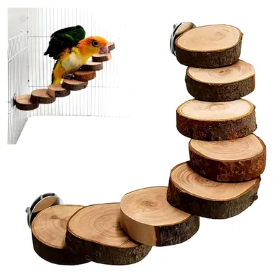 Produktbild von Papageienleiter aus Holz, Sitzstange und Kletterspielzeug für Kleintiere, 8 Stufen