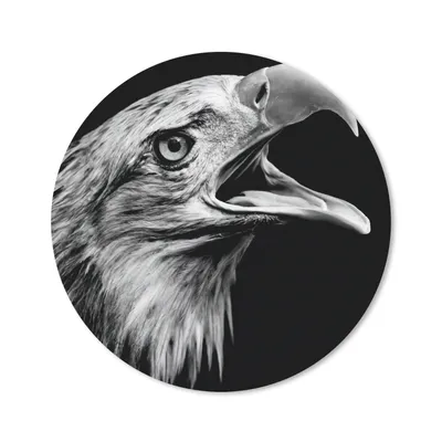 Produktbild von MuchoWow® Mauspad Mousepad Adler - Porträt - Raubvögel - Schwarz - Weiß - Vogel 30x30 cm - Mousepads - Maus Mat - Pad - Mausunterlage - Tischunterlage - Schreibtischmatten