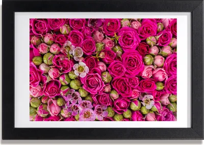 Produktbild von Bild 30x20 MDF-Rahmen, Wandkunst Rosen