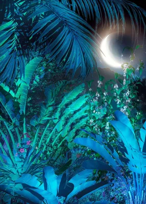 Immagine prodotto di Sanders & Sanders fotomurale la giungla nella notte blu 200 x 280 cm