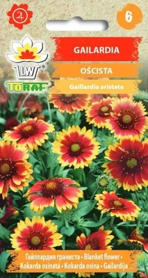 Zdjęcie produktu dla Gailardia oścista Nasiona kwiatów - 501 Toraf