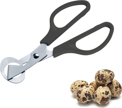 A quail egg scissor and a pile of quail eggs on a white background.