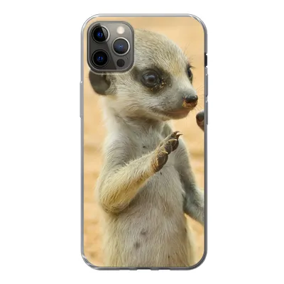 Produktbild von MuchoWow® Handyhülle Schutzhülle Hülle für iPhone 13 Pro Max Erdmännchen - Braun - Tier Silikon Softcase Handy Hülle - Mobiltelefon