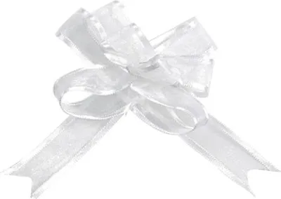 Image de 5 mini-nœuds en organza blanc 16 mm - taille unique