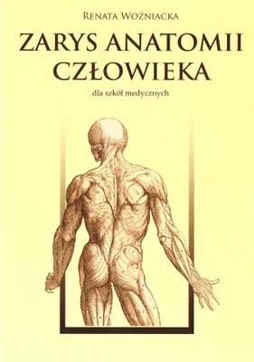 Produktbild von Zarys anatomii człowieka w.2015