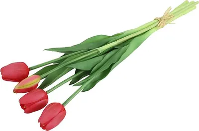 Zdjęcie produktu dla Bukiet tulipanów Countryfield – tulipany – fuksja – 40 cm