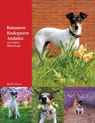 Produktbild von Ratonero Bodeguero Andaluz