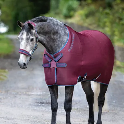Obrázek produktu pro Horseware Rambo Airmax Cooler Disc Front - burgundský