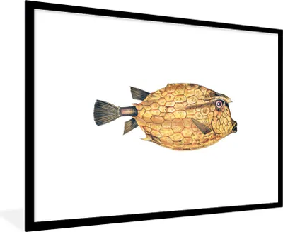 Produktbild von MuchoWow® MuchoWow® Gerahmtes Poster Fisch - Realismus - Gold 90x60 cm - Poster mit zchwarzem Bilderrahmen - Wanddekoration - Fotos
