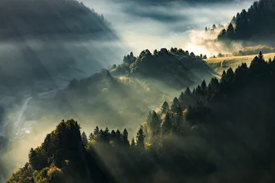 Zdjęcie produktu dla Fototapeta Dekoracja Przyrodnicza Krajobraz z widokiem na Las we mgle Promienie słoneczne Natura Góry 3D 416x290cm