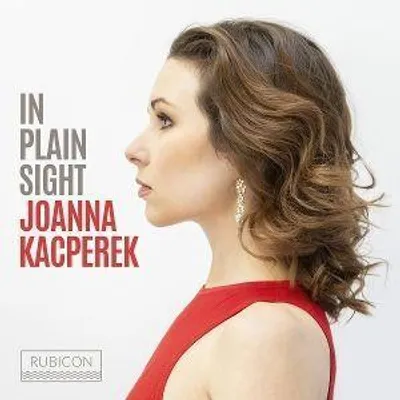 Produktbild von In Plain Sight