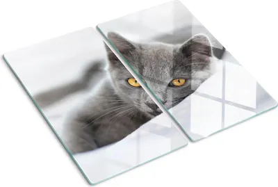 Immagine prodotto di Copertura per piano cottura – Copertura per piano a induzione – Piano di vetro protettivo – 2x30x52 cm – Piani di vetro protettivi per fornelli – Vetro temperato – Gatto grigio