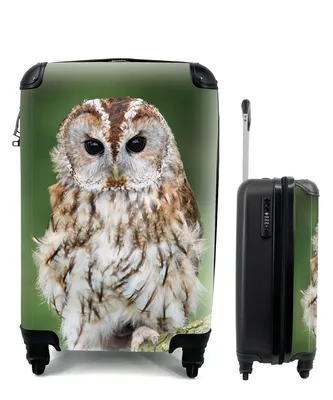 Produktbild von MuchoWow® Koffer Handgepäck Trolley Rollkoffer Kleine Reisekoffer mit 4 Rollen - Braune Eule sitzt auf einem Baum - Cabin Size < 55x40x23 cm & 55x40x20 cm - Fotokoffer - Kabinenkoffer - Boardgepäck - Reise-Box - Reisekoffer - Reisegepäck - Koffer mit Bild - Trolley für Kinder