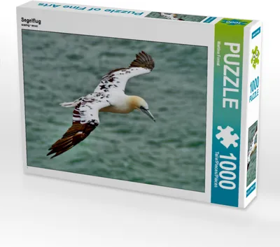 Produktbild von CALVENDO Puzzle Segelflug 1000 Teile Puzzle quer | 1000 Teile Lege-Größe 64x48cm Foto-Puzzle für glückliche Stunden