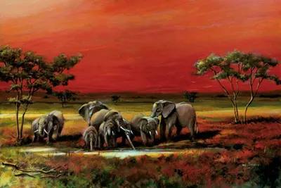 Produktbild von Afrika - Elephanten - Tier - Poster Druck - Größe 91,5x61 cm