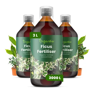 Obrázok produktu pre Ficus, tekuté hnojivo, 3x 1 liter – vzorec NPK 2-1-8 – pre izbové rastliny – pre zdravé listy a silný rast – podporuje korene a vitalitu – organické