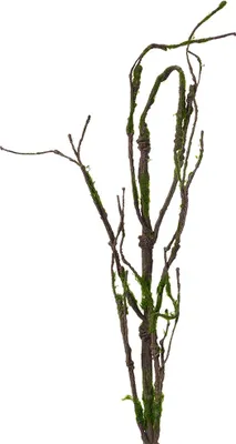 Produktbild von Clayre & Eef Kunstpflanze 130 cm Braun Kunststoff