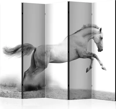 Immagine prodotto di paravento bifacciale 5 pezzi in tessuto non tessuto - Galoppo bianco II 225x172 cm Animali g-C-0206-z-c