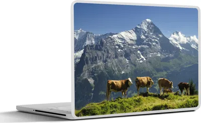 Produktbild von MuchoWow® Laptop Aufkleber Sticker Cover Blick auf den Eiger im Grindelwaldtal in der Schweiz 36.5x27.5 cm - Laptop-Sticker