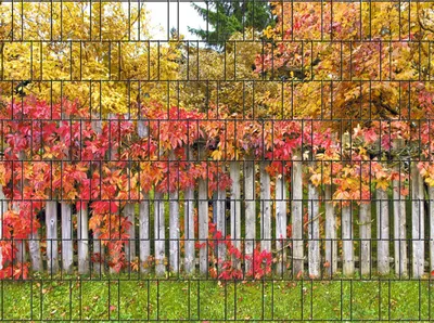 Produktbild von Bedruckter Sichtschutz RÜGEN Zaun Sichtschutzstreifen 2,5m x 1,8m
