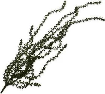 Produktbild von Künstliche Hängepflanze Silk-ka für den Innenbereich, Grün, 91 cm