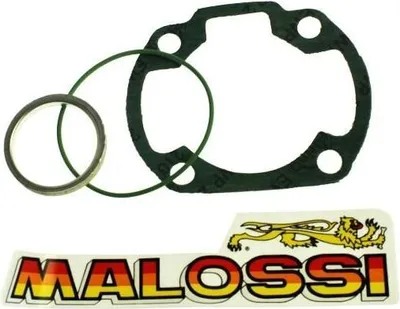 Image de Malossi Kit complet de cylindres Kit de joints Ø 47 - 1111205
