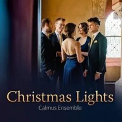 Produktbild von Christmas Lights