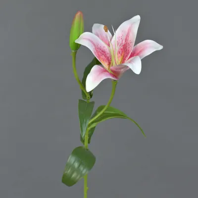 Produktbild von artplants.de Künstliche Tigerlilie MIXLON, Hellrosa-weiß, 55cm - Kunstblume Lilie