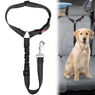 Productafbeelding van Autogordel hond veiligheidsgordel - Verstelbaar 71 tot 84 cm - Nylon - Met schokabsorber